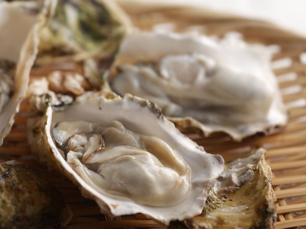 冬の味の殻を持つ牡蠣