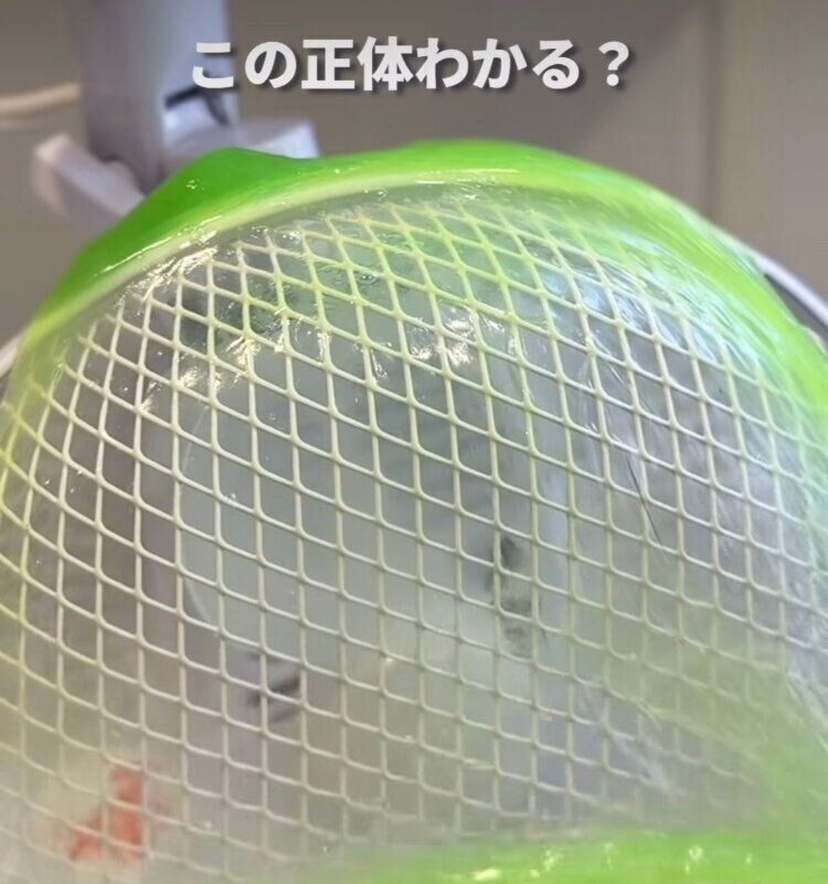 おそうじスライム