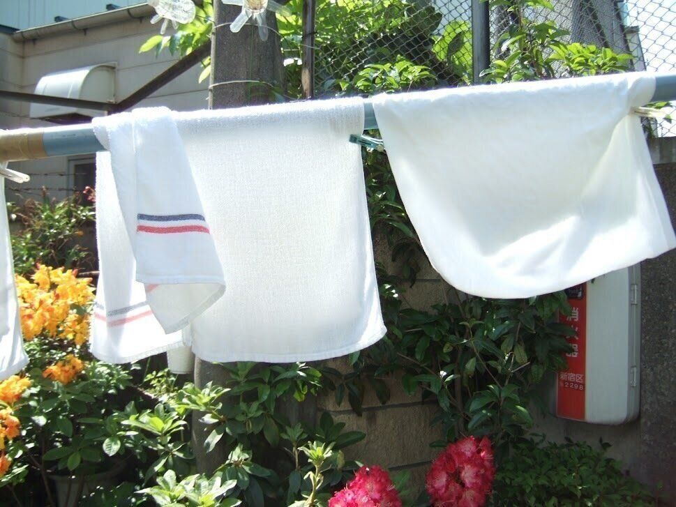 暑さはメリットにもなる！夏のあいだにやっておきたい家事4選