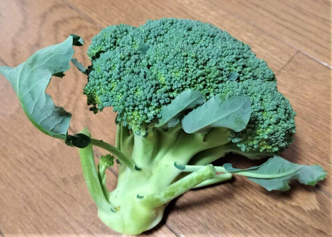 ブロッコリー