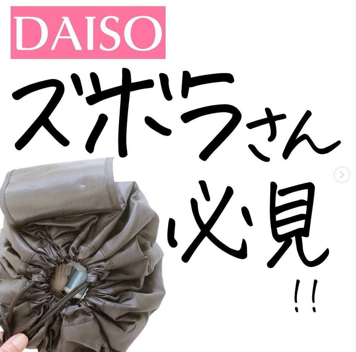 【ダイソー】ズボラさん必見の収納ポーチ