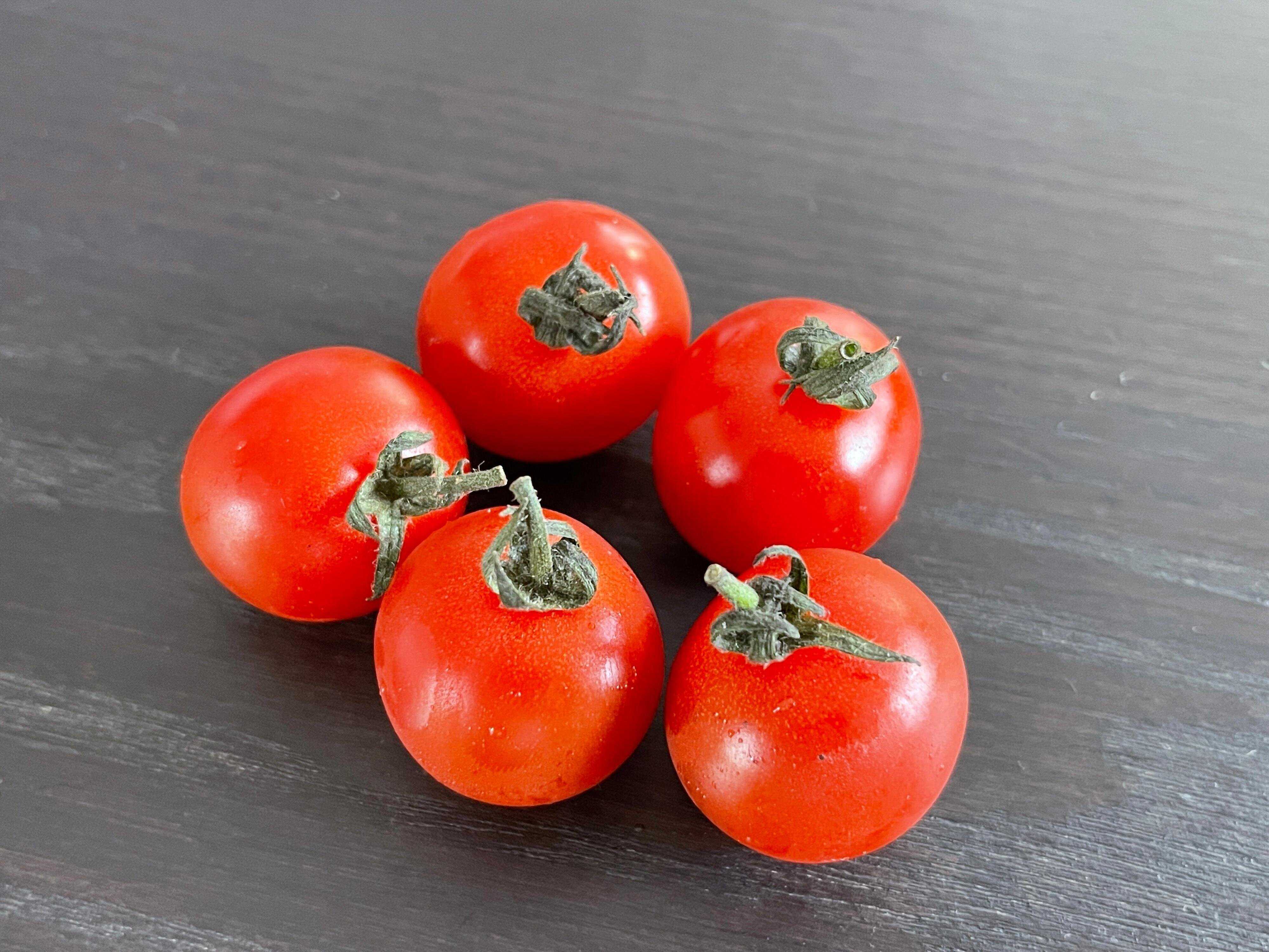 テーブルにのったミニトマト