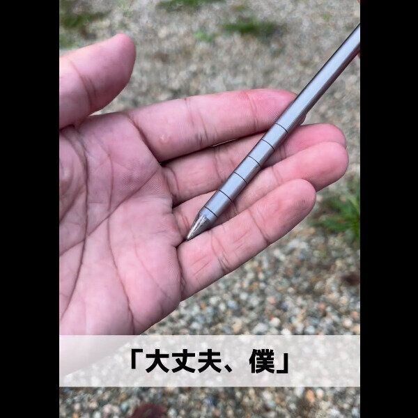 【ワークマン】激安！最強チタンペグ