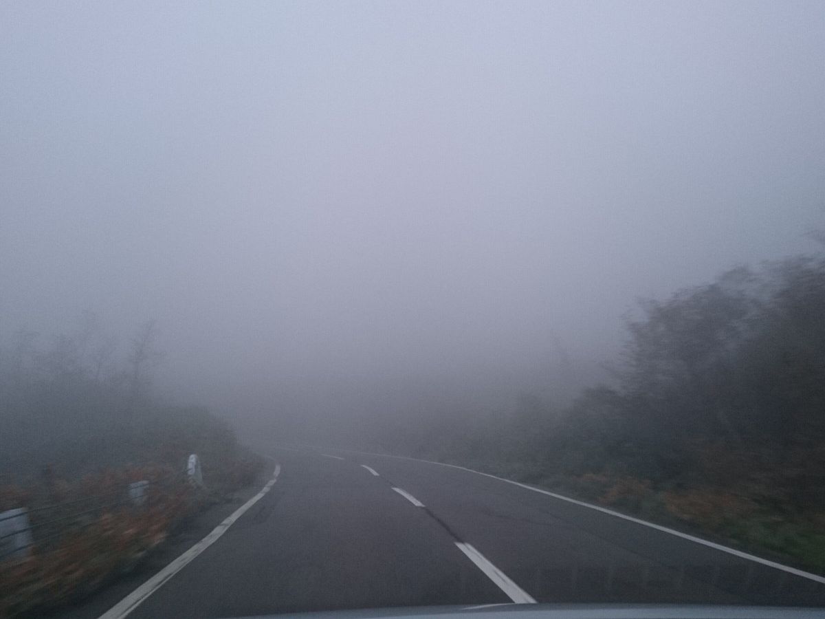 霧の道路
