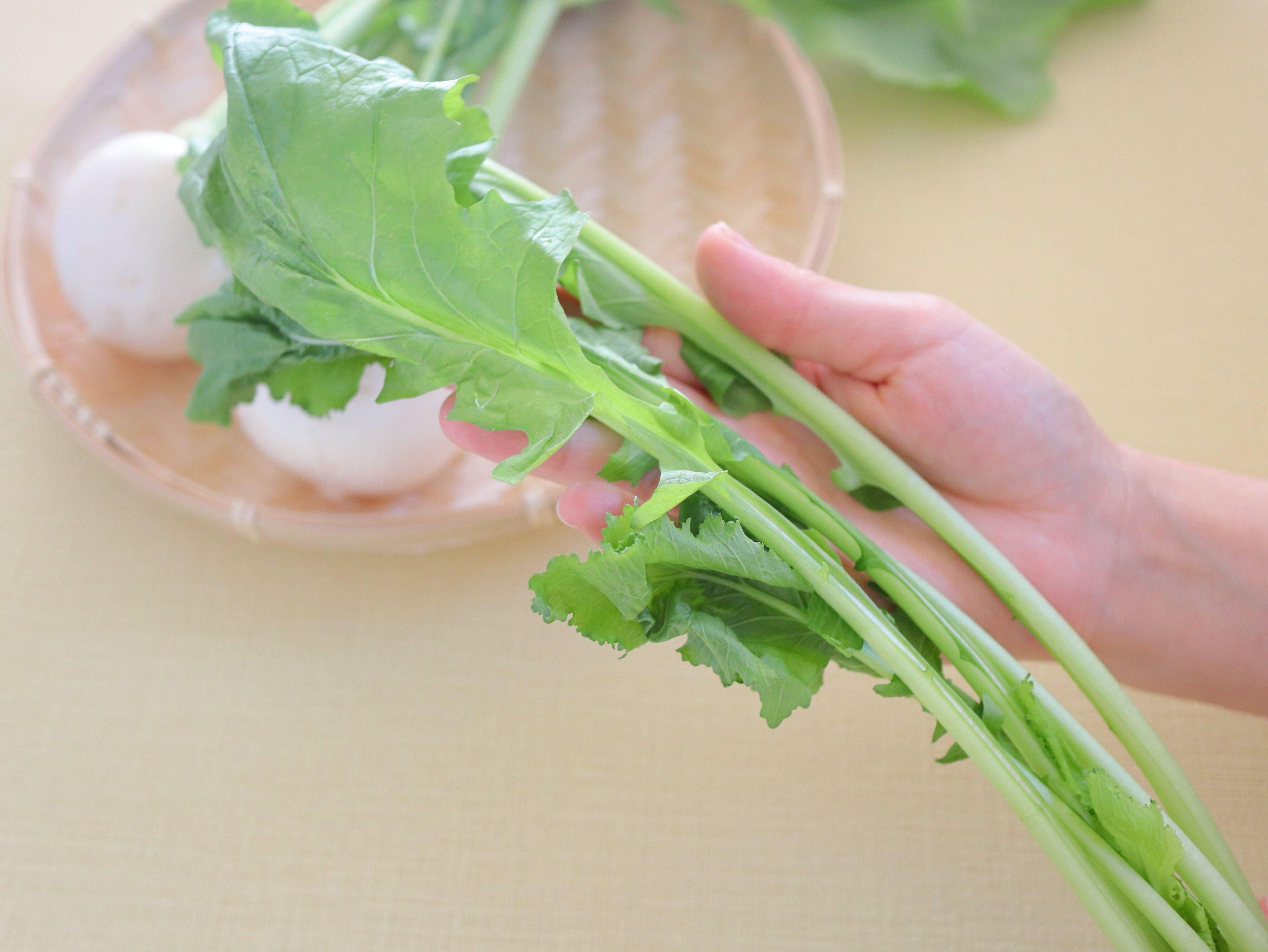 別々にしておけば葉の鮮度も保てる