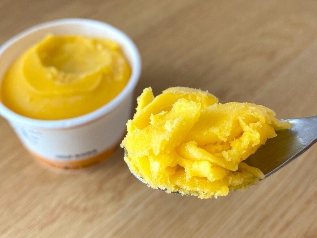 素材を生かしたソルベマンゴー