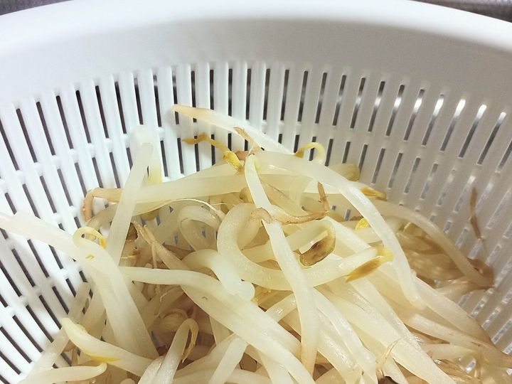 もやし