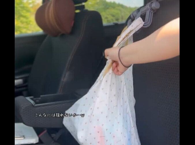 【ダイソー】荷物落下防止に！車のシートフック