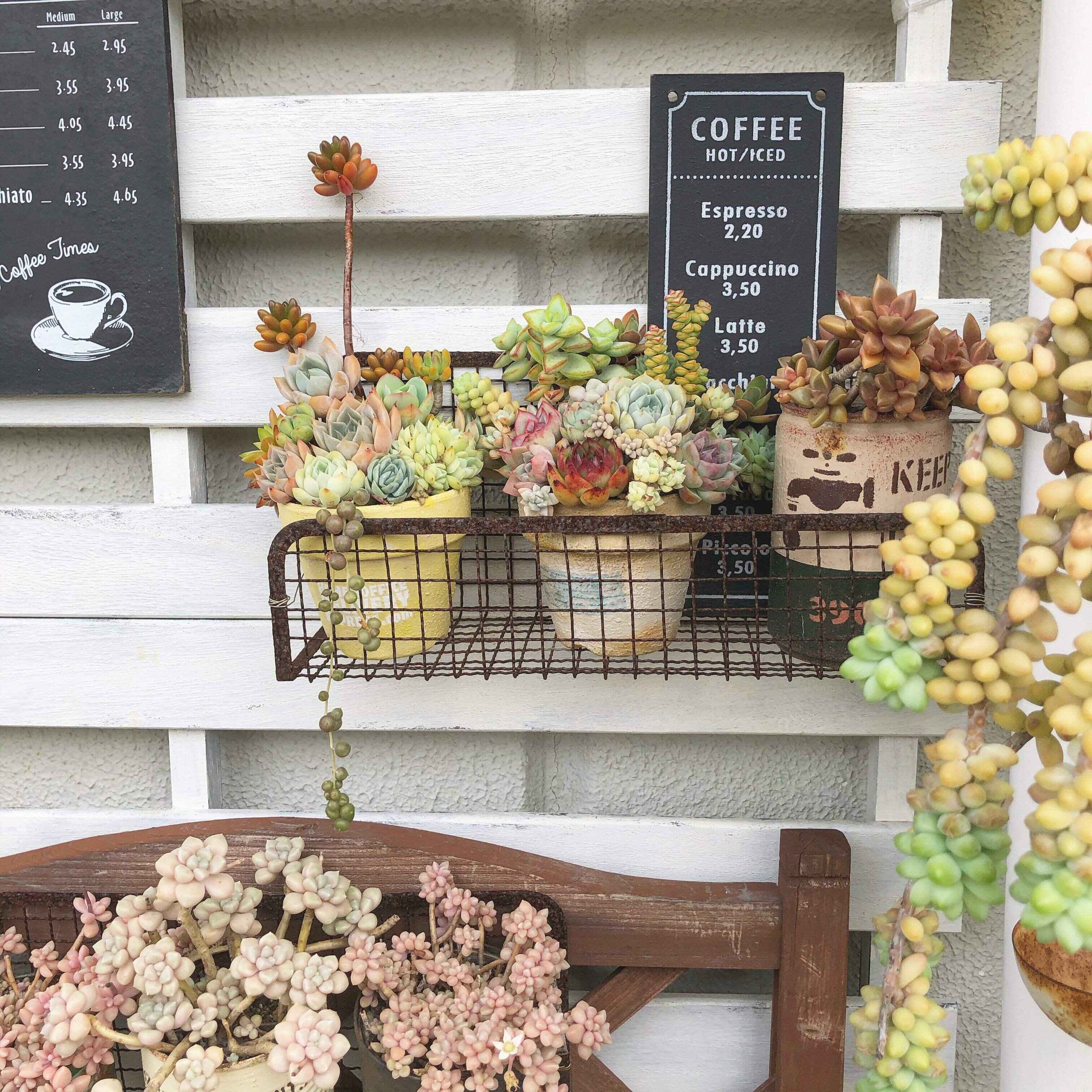 100円ショップのアイテムを活用する