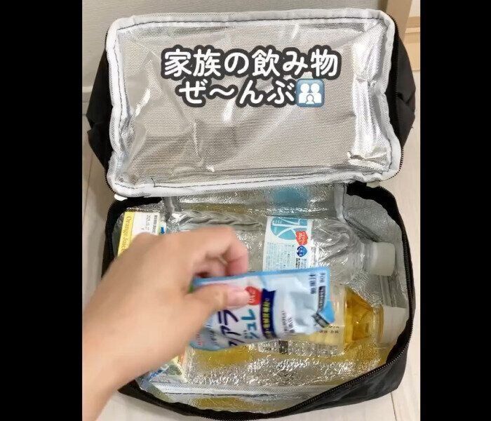 【ダイソー】やっとゲット！ランチバッグ（二段式）