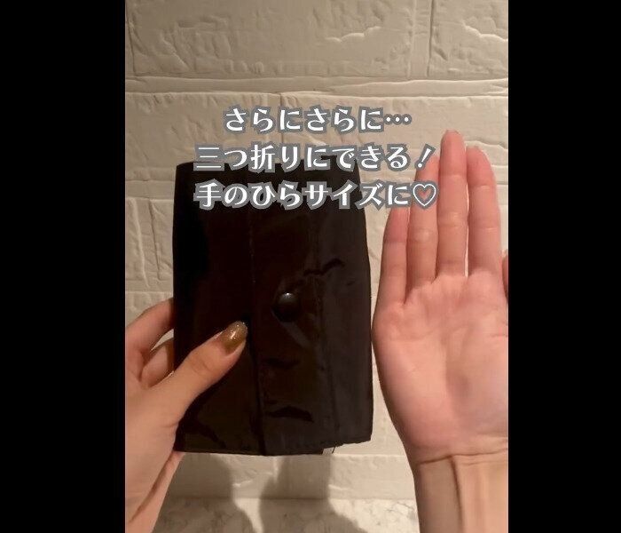 【ダイソー】便利に進化！抗菌マスクポーチ