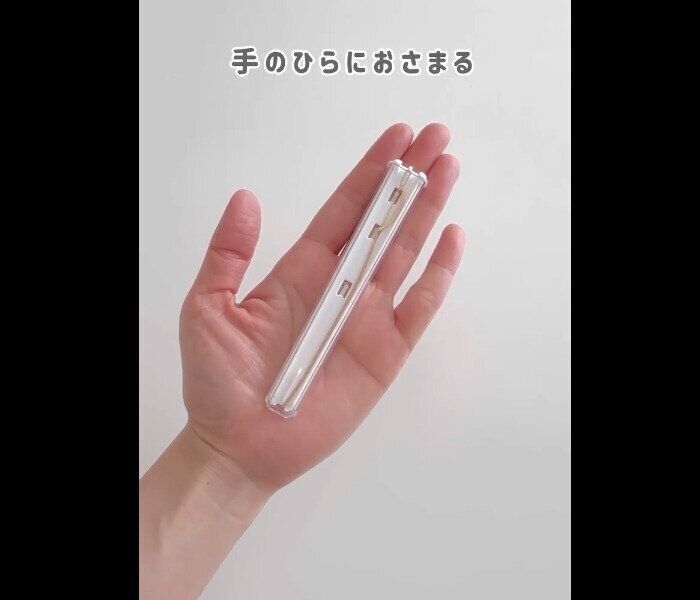 【セリア】ふってもずれない！ネックレスケース