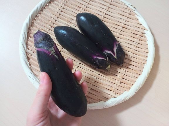 ナス