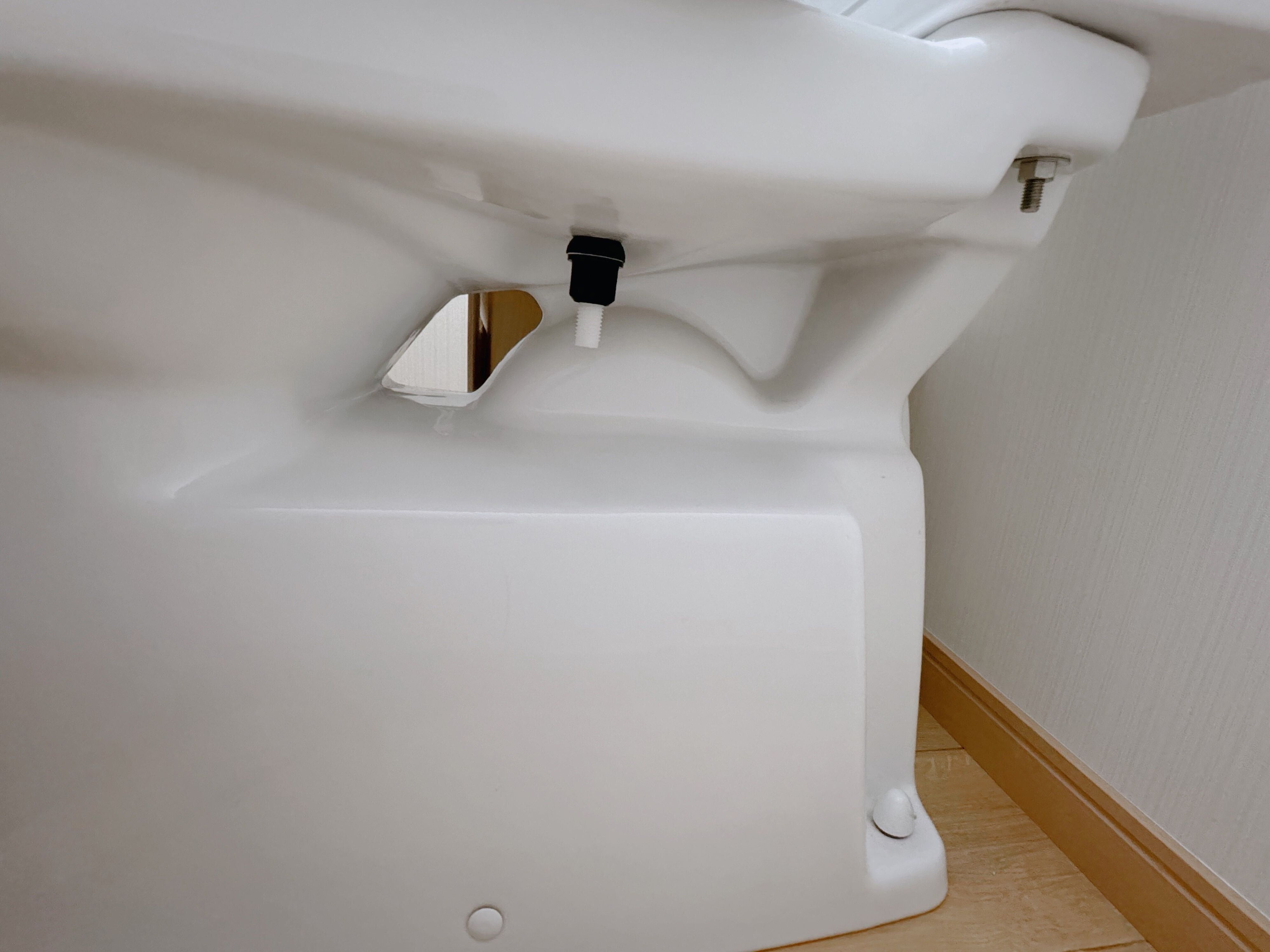 忘れがちな場所 3．便器の凹凸