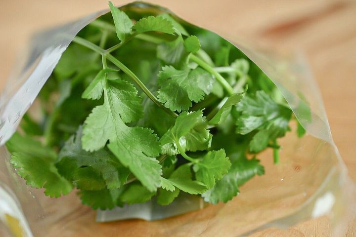 パクチー