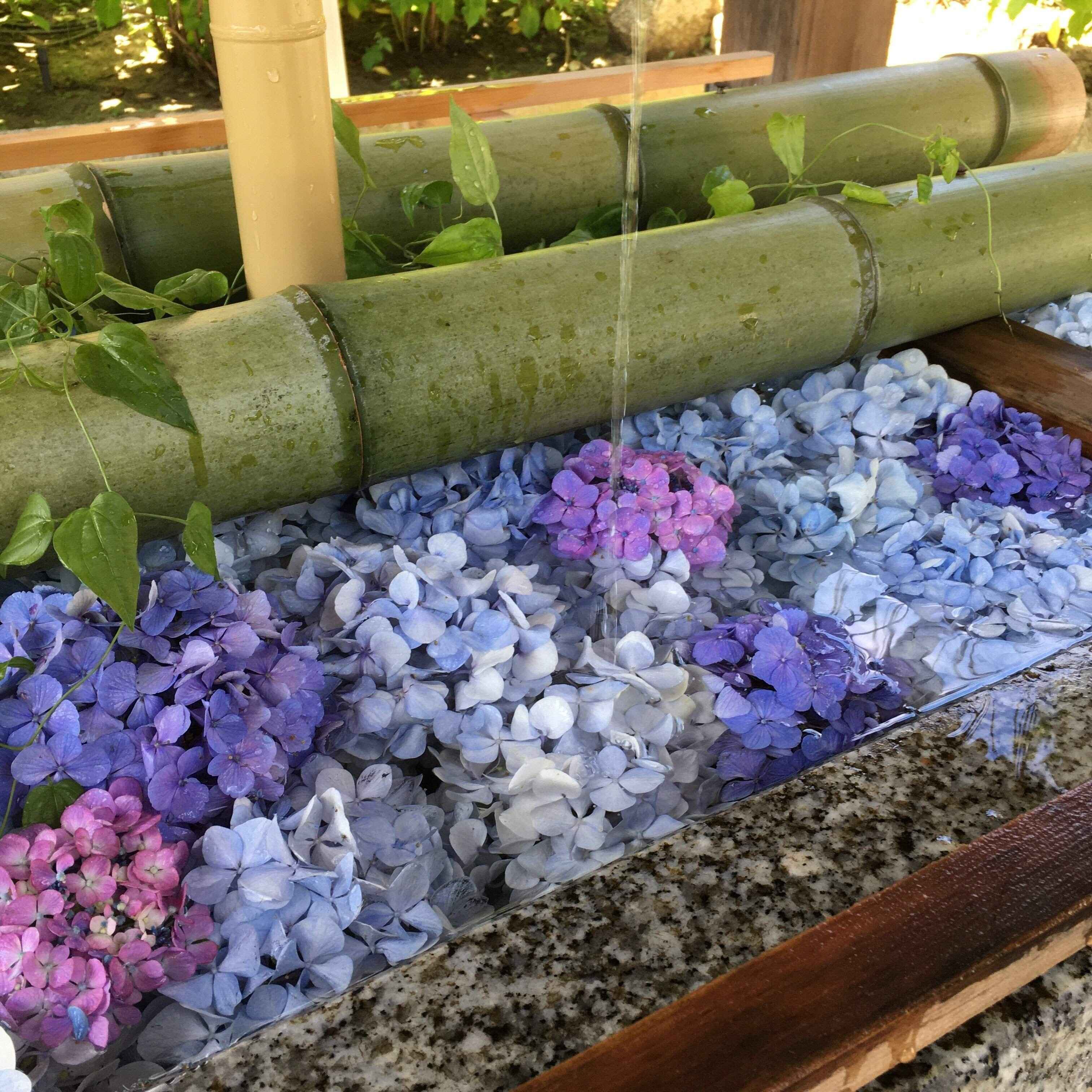 1,500円ケチって起きたデメリット