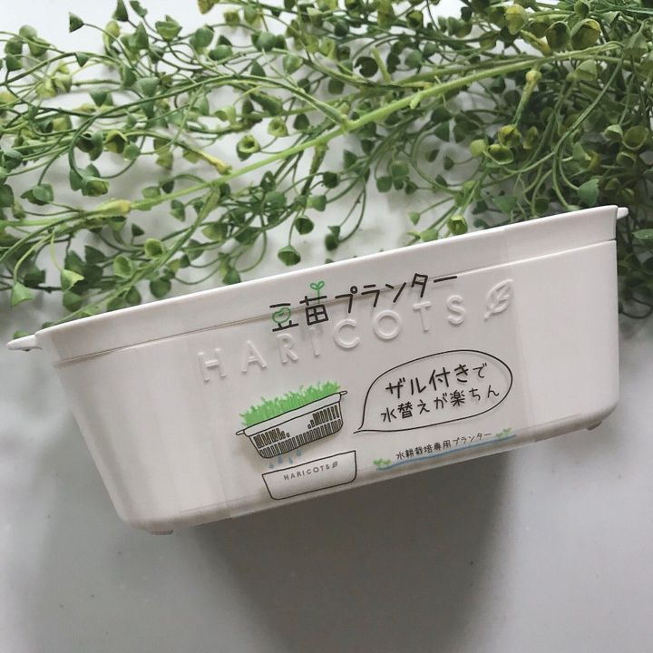 こんなのが欲しかった 使い勝手バツグン おすすめセリア品 サンキュ こんなのが欲しかった 使い勝手バツグン おすすめセリア品 サンキュ