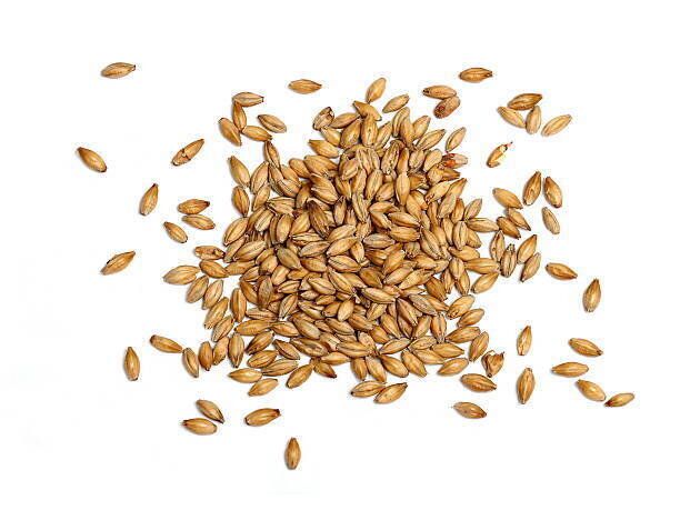 管理栄養士監修 大麦 の主な栄養素とカロリーまとめ おすすめな調理方法は サンキュ