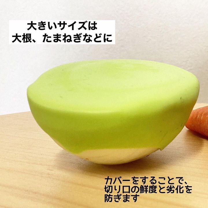 【ダイソー】野菜の鮮度長持ちで食材を無駄にしない