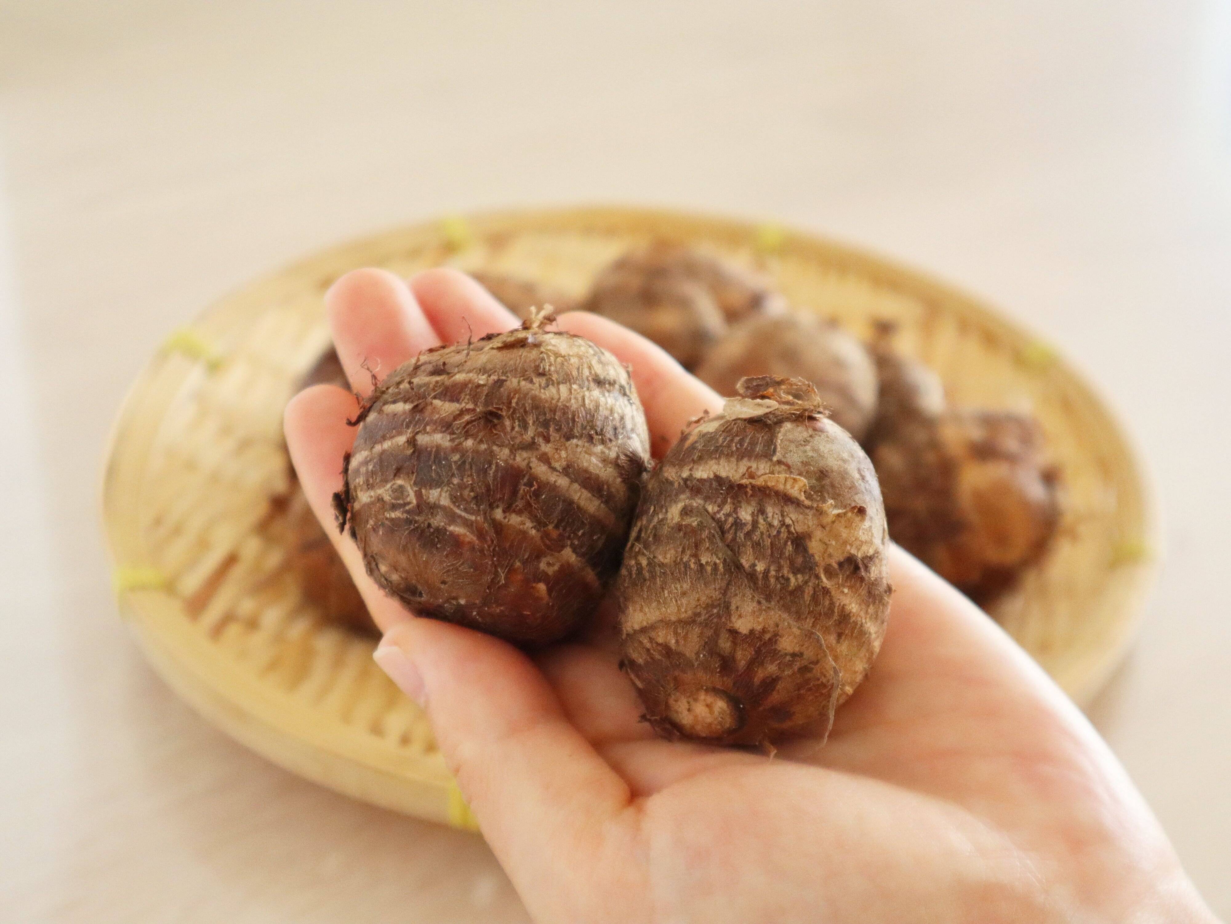 少し湿り気のあるもの