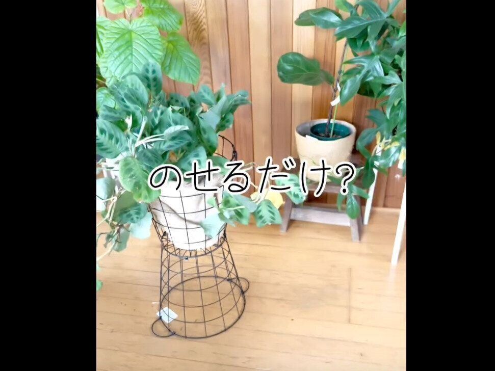 【ダイソー】乗せるだけでOK！ワイヤーバスケット花台