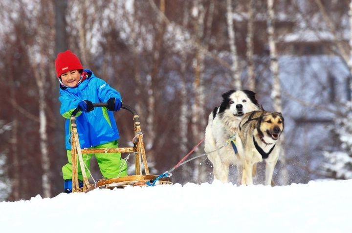 子どもと楽しむ 冬のおすすめアウトドア アクティビティ サンキュ 子どもと楽しむ 冬のおすすめアウトドア アクティビティ サンキュ
