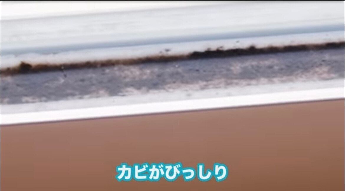 1回洗ってもこの状態！カビがびっしり