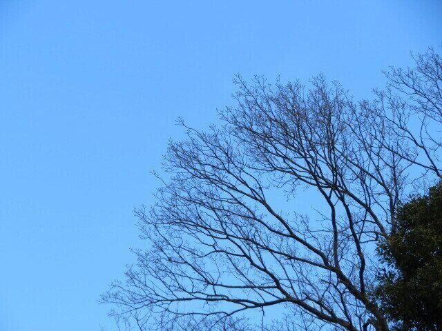 サンキュがなければ死んでいたかも……生きる許しを得るためのライター活動