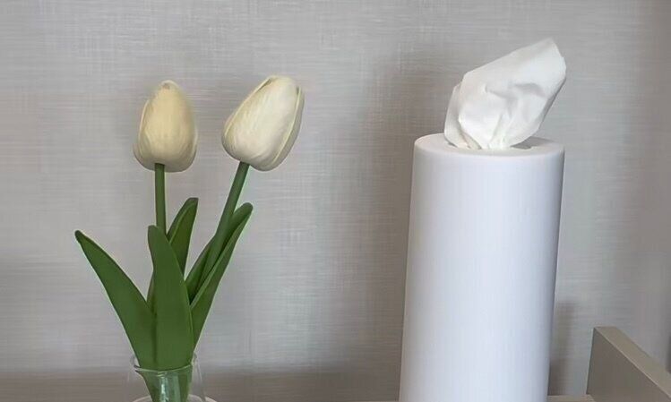 ティッシュケース