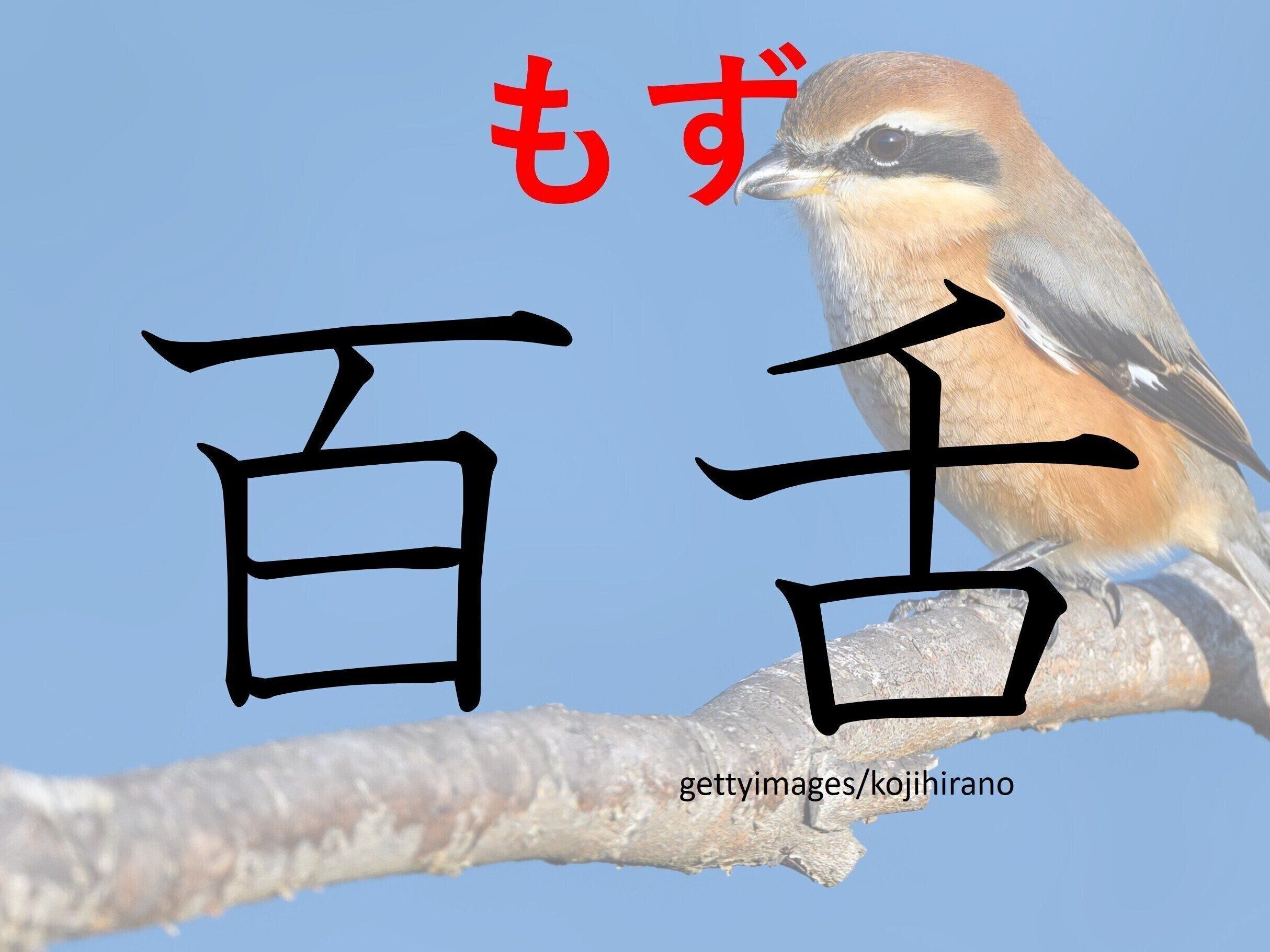 かわいいけどちょっと怖い？難読漢字「百舌」はなんて読む？