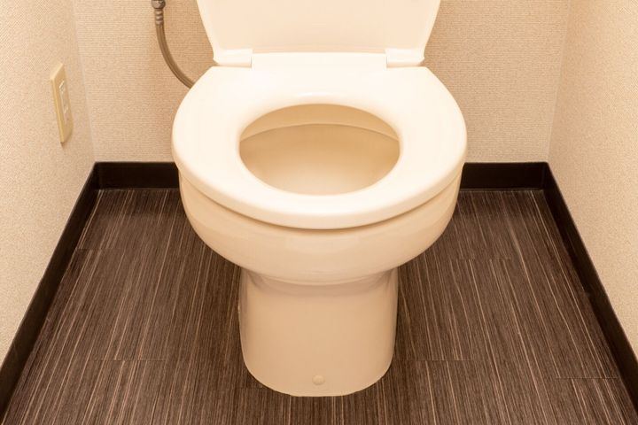 日本の家のトイレ