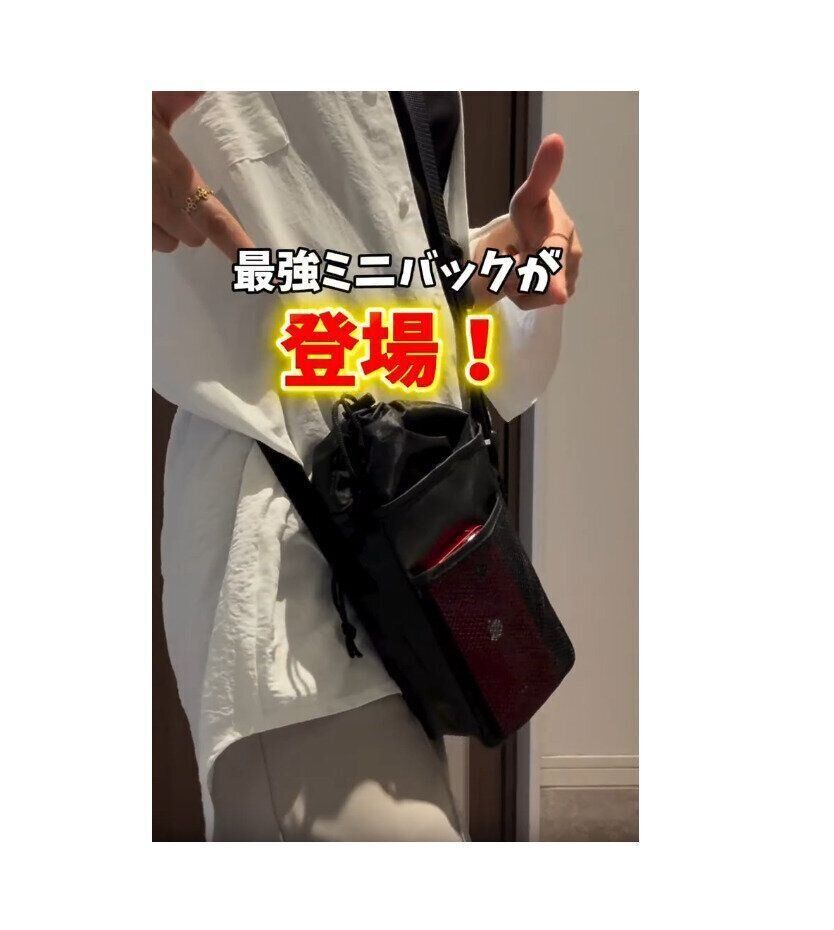 【ダイソー】バッグコーナーへ走れ！最強ミニバッグが登場