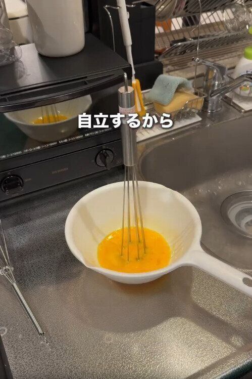 【ダイソー】自立するので置き場所にも困らない