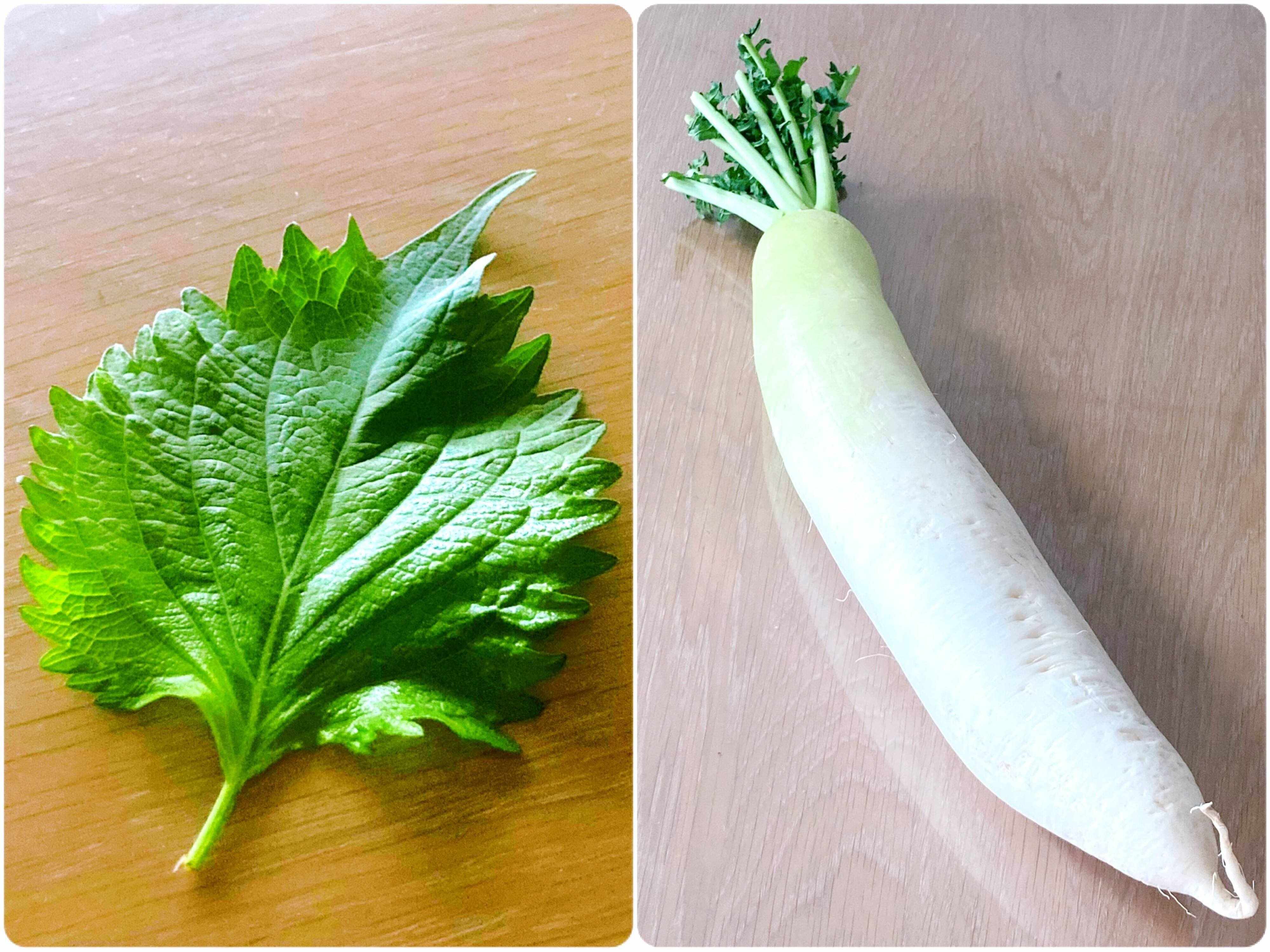 ちょこっと食材2：大葉の千切り・大根おろし