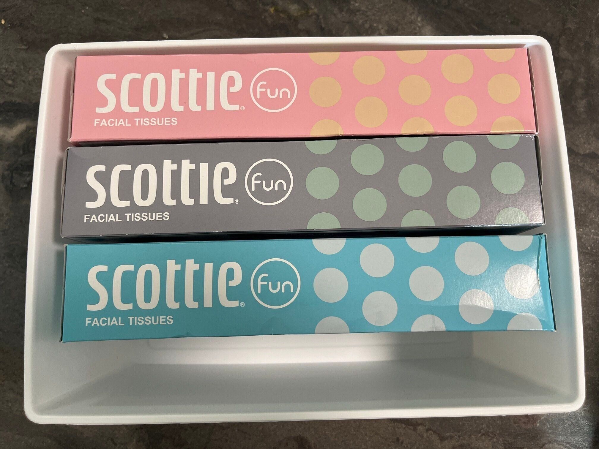 セリアで見つけたら即買って！整理収納のプロおすすめ収納ボックス