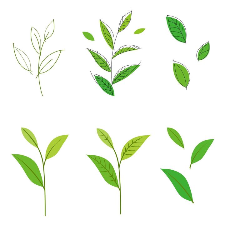 管理栄養士監修 賞味期限切れの お茶 はいつまで飲める 茶葉 ペットボトル 水出ししたお茶それぞれ解説 サンキュ 管理栄養士監修 賞味期限切れの お茶 はいつまで飲める 茶葉 ペットボトル 水出ししたお茶それぞれ解説 サンキュ