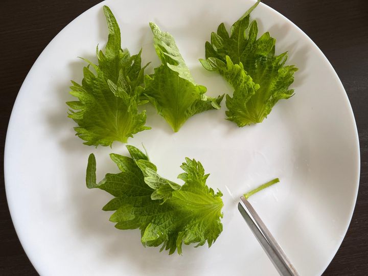 2つの方法でしそ1袋食べきり 長持ちさせる冷蔵方法とレンジだけで作る乾燥しそ サンキュ 2つの方法でしそ1袋食べきり 長持ちさせる冷蔵方法とレンジだけで作る乾燥しそ サンキュ