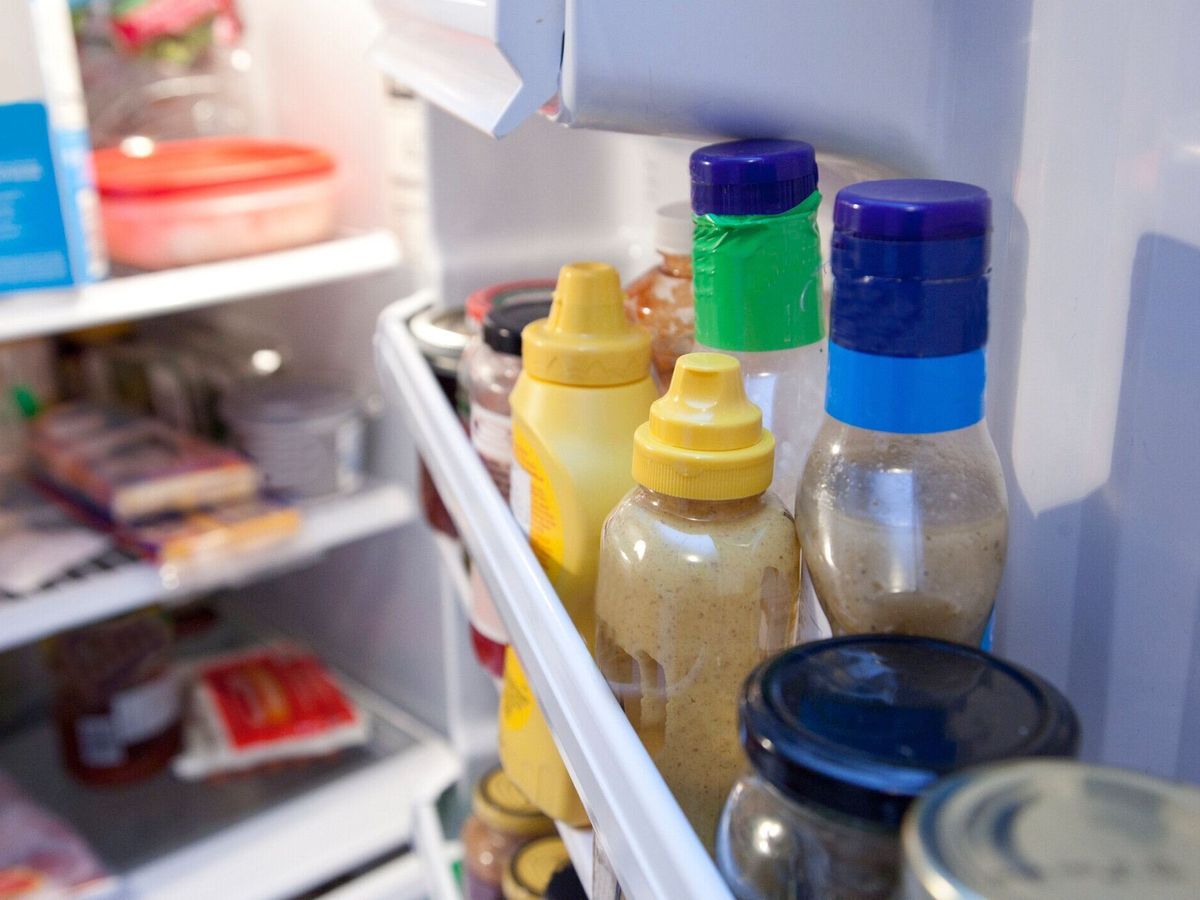 室内冷蔵庫のドア