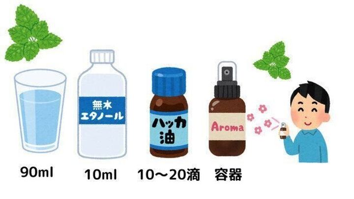 ハッカ油スプレーの作り方 使用法7選 バスオイルから虫除けまで幅広く使える万能スプレーの使い方を紹介 サンキュ ハッカ油スプレーの作り方 使用法7選 バスオイルから虫除けまで幅広く使える万能スプレーの使い方を紹介 サンキュ