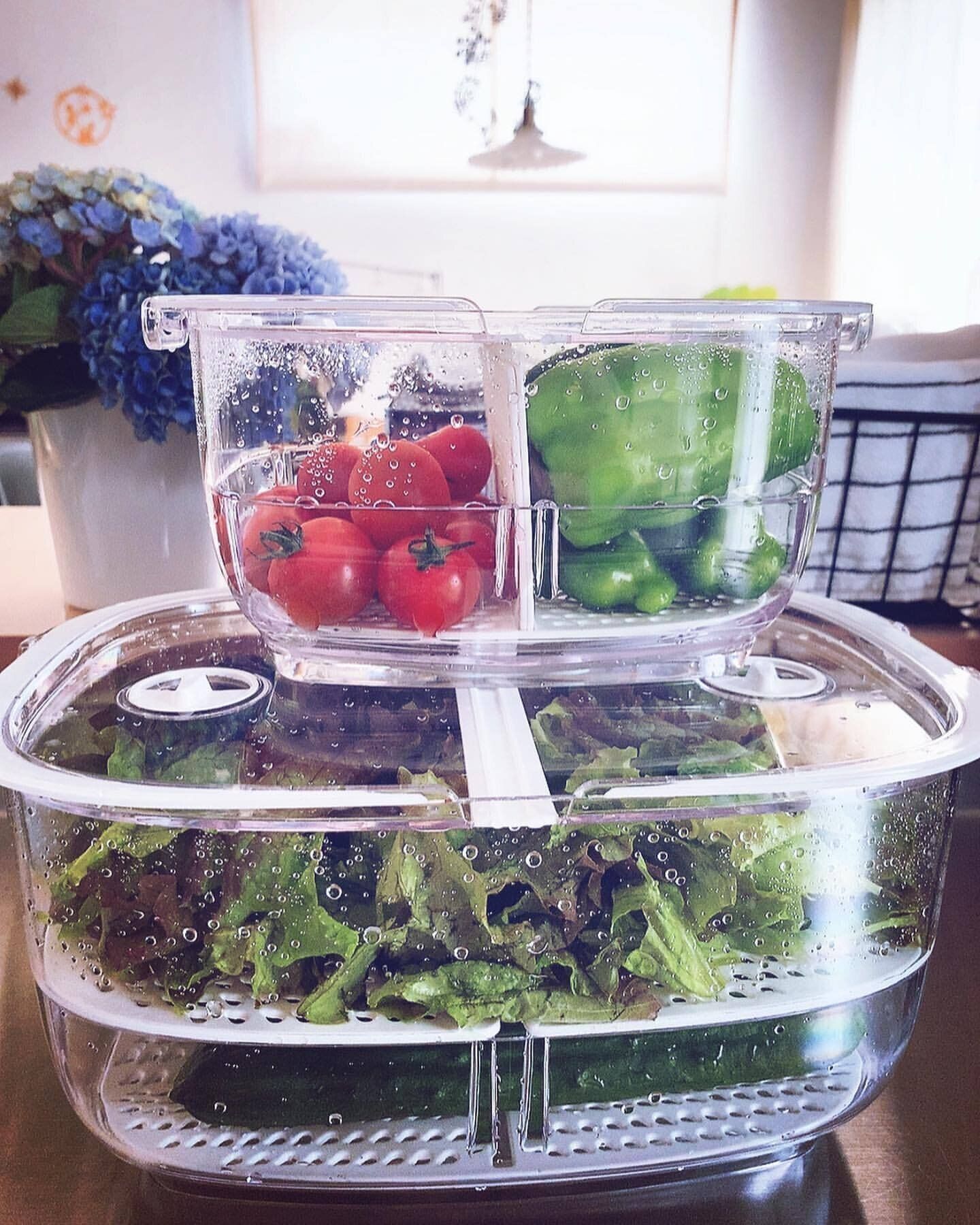 【ニトリ】フレッシュキーパーなら野菜のおいしさがキープできる