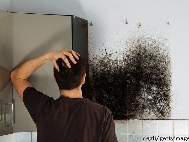 湿気があるとカビだらけ リビング 押し入れ トイレ 玄関のカビ掃除どうする サンキュ 湿気があるとカビだらけ リビング 押し入れ トイレ 玄関のカビ掃除どうする サンキュ