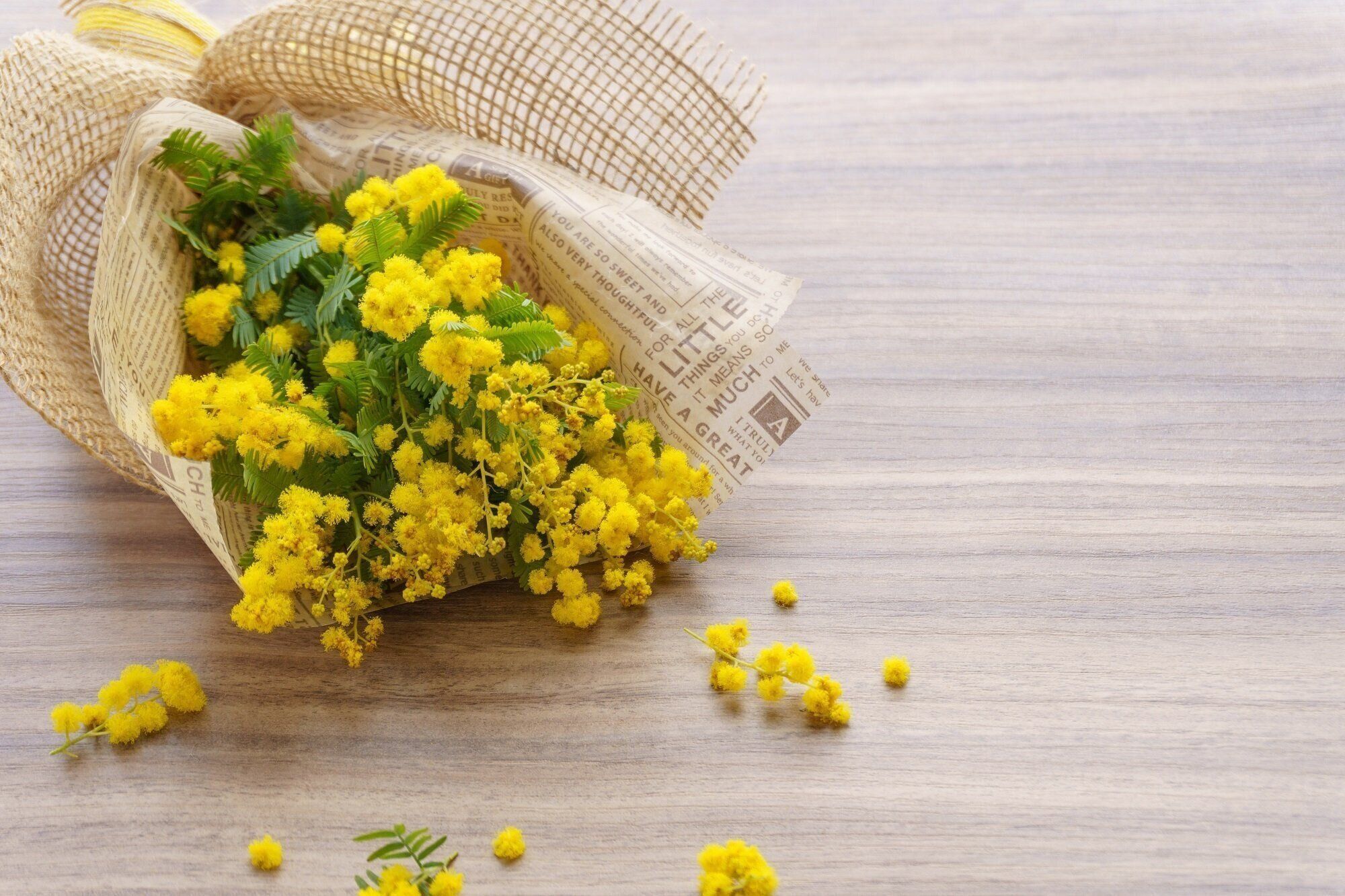 2026年のラッキーカラーはこの5色！ 洋服、持ち物、雑貨、タオル…に使えば使うほど運気が上がる【Dr.コパの風水解説】