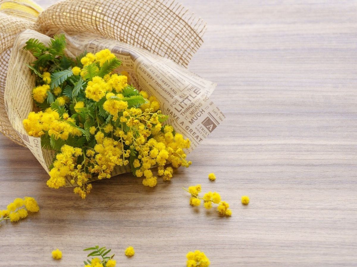 2026年のラッキーカラーはこの5色! 洋服、持ち物、雑貨、タオル…に使えば使うほど運気が上がる【Dr.コパの風水解説】