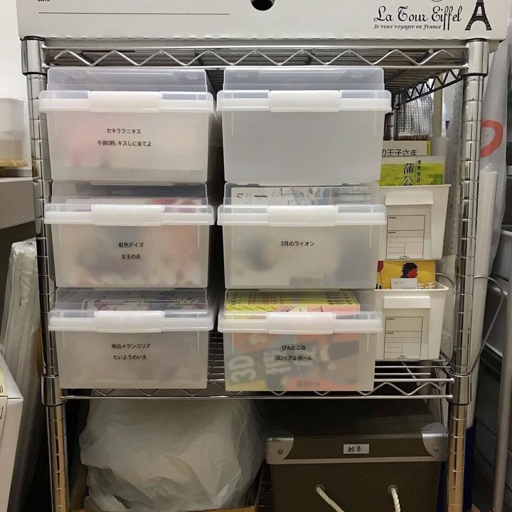 漫画がシンデレラフィット!「メディア収納ケース」