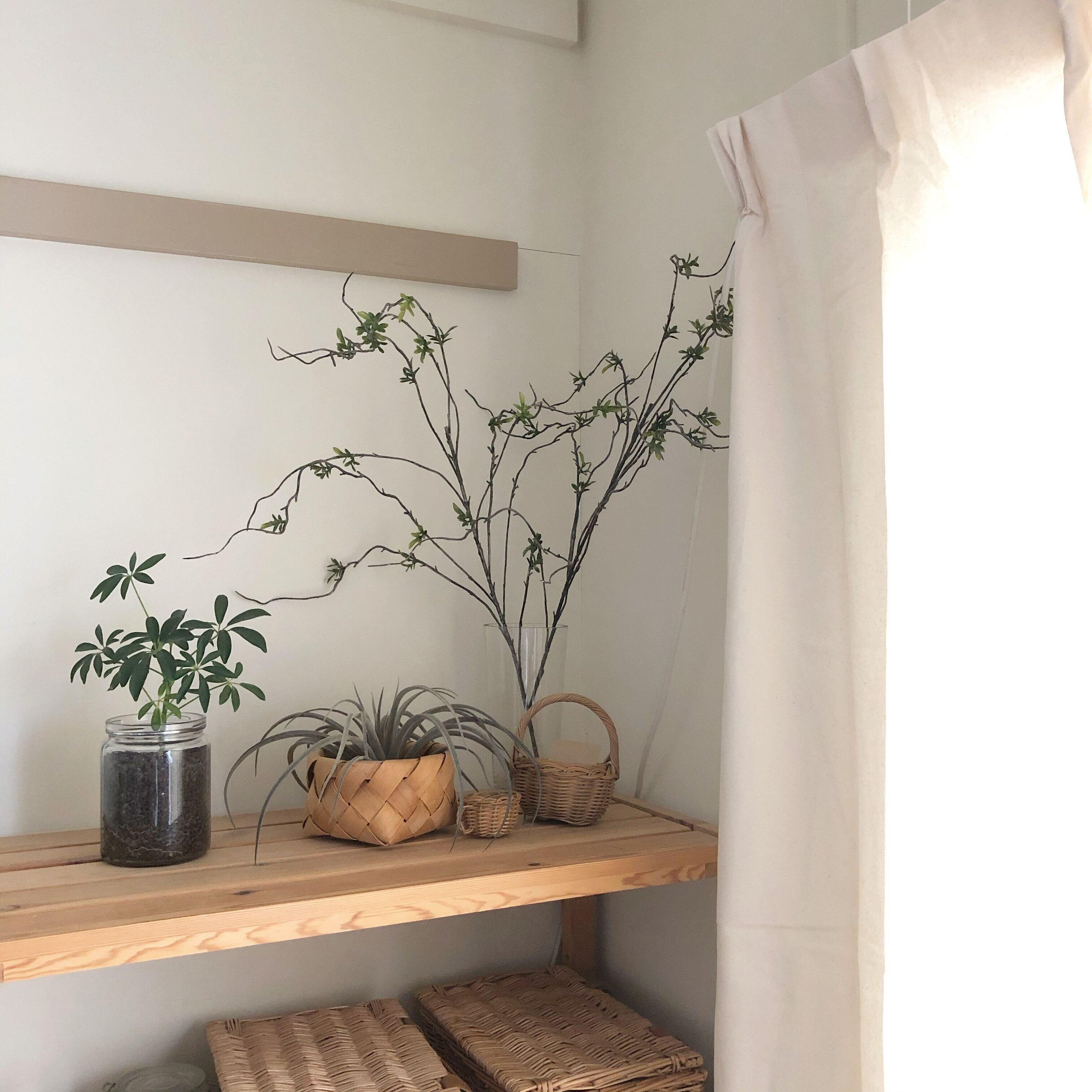 団地　日当たりが良い