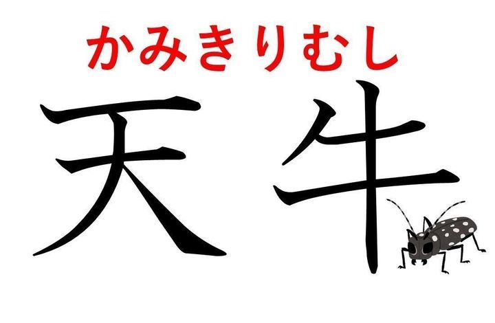 知っていると自慢できる 難読漢字クイズ 天牛 はなんて読む サンキュ 知っていると自慢できる 難読漢字クイズ 天牛 はなんて読む サンキュ