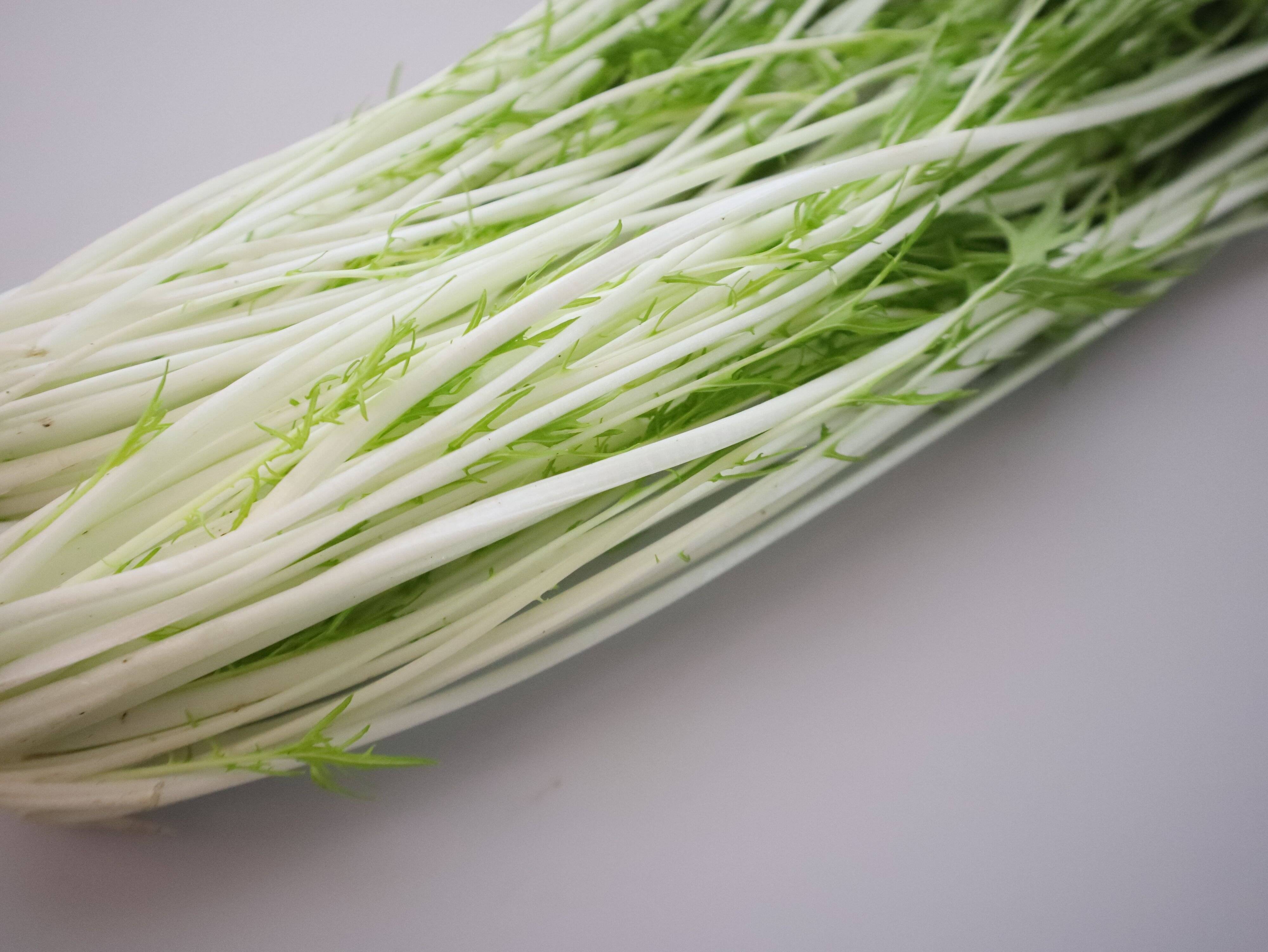 茎が白くまっすぐ伸びている