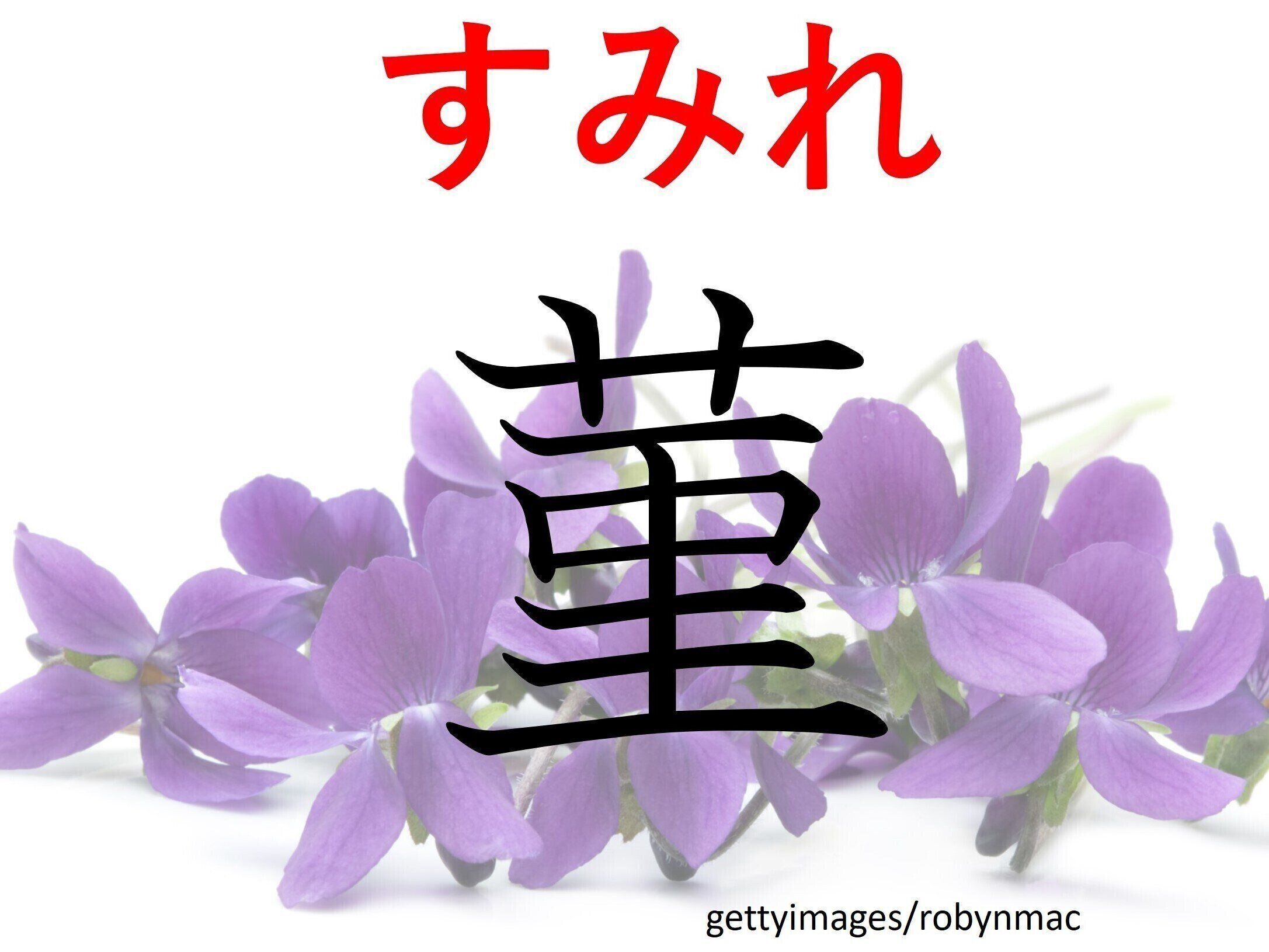 紫色じゃないものも！じつは食べられる？難読漢字「菫」はなんて読む？