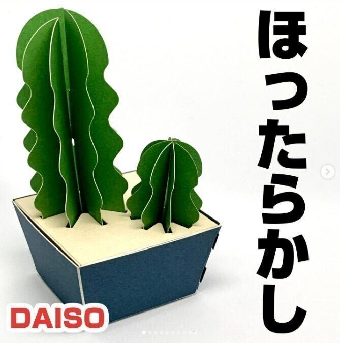 【ダイソー】手間いらずの観葉植物