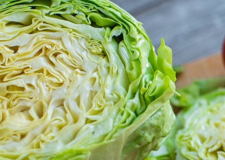 キャベツ